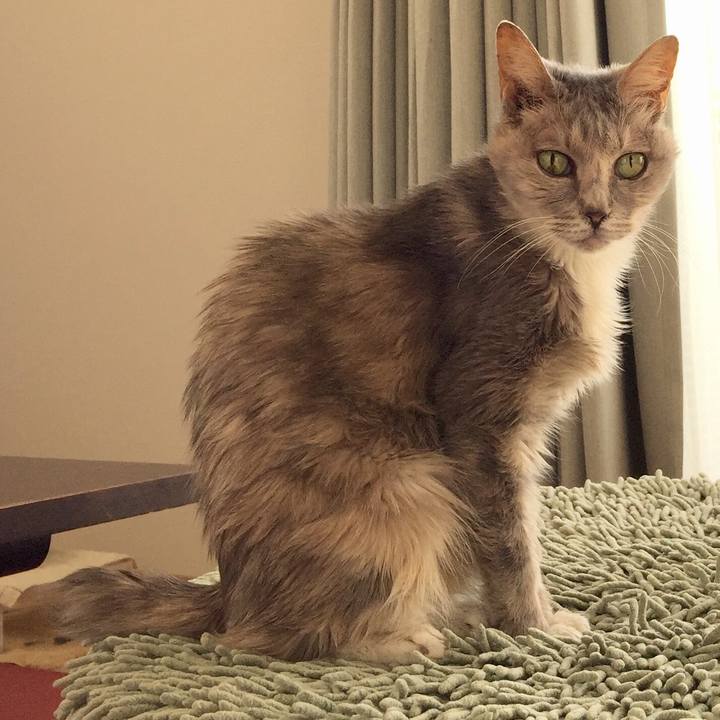 3bfbefbe a1f6 485d 9ec7 36e9933659c3