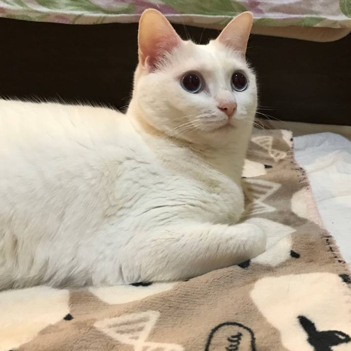 3bfc0dc7 ce9f 4a25 b33e ef81b8dc6ec7