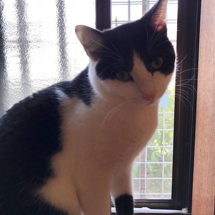 3bfd296c c8a9 499f b8d8 01e4e75b98fd