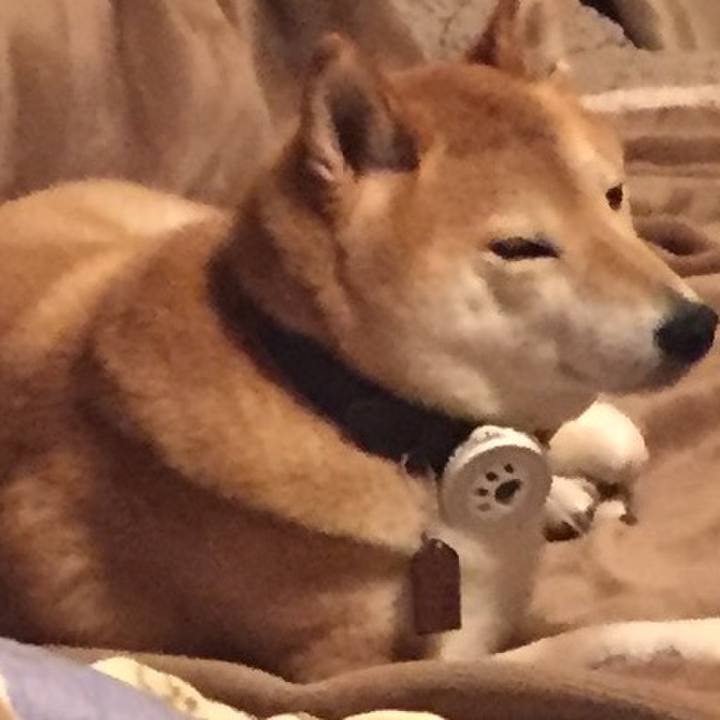 3bfdd689 1f10 452a 9c11 858313b5f657