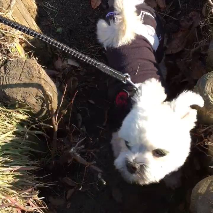 3bfef8e6 0531 4449 9c6d c9a782ab7093