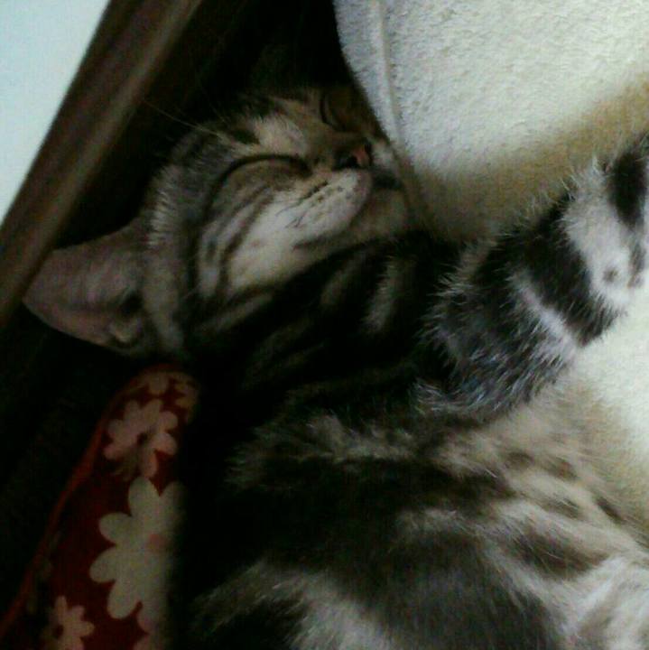 3bff180e 5e62 468f b7a5 e13bb76dbdfc