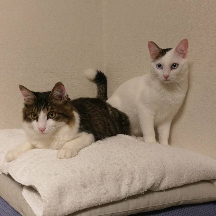 3bff2706 35ef 4437 97b5 873542a0308f