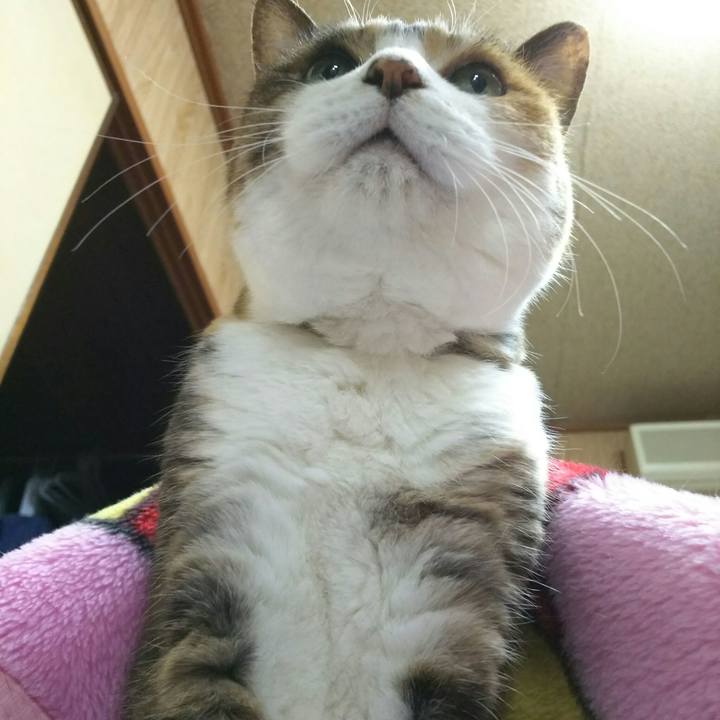 3bff501b 8d1d 428a 8320 2558cbd03dae