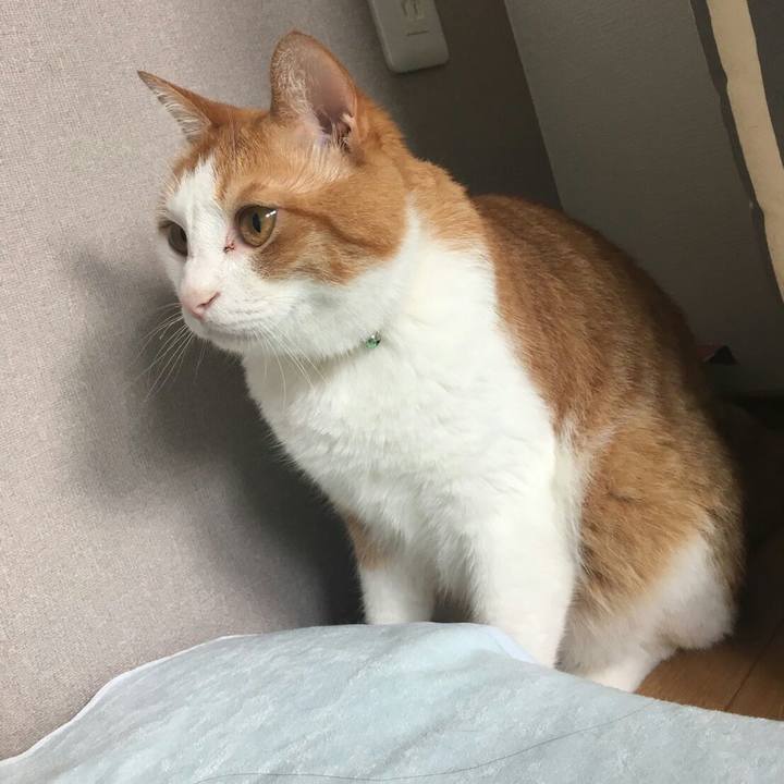 3bff9588 c9b0 498d a94d bc4acd5408a2