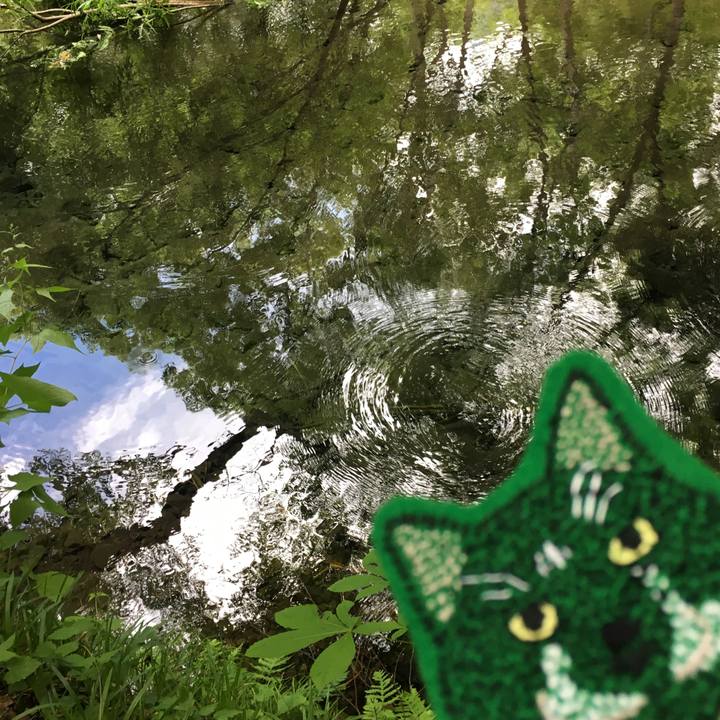 3bffa633 0ebc 4aa7 b009 9b5757969f2e