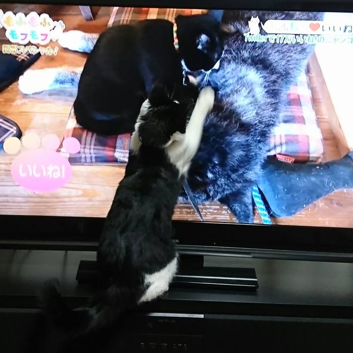 3c008aba b929 4b7d 9bfe 299fa655b669