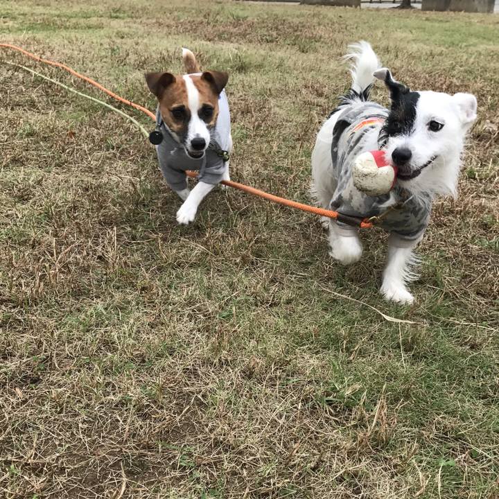 3c013d3f a074 410f a122 4ac1aa4cd48e