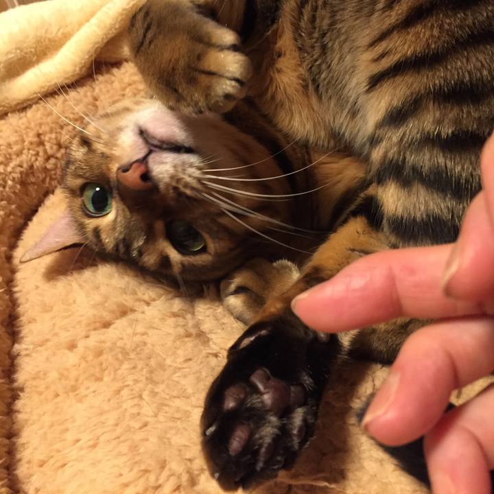 3c017102 f003 44ed 97e7 9bbcdc8ee88c