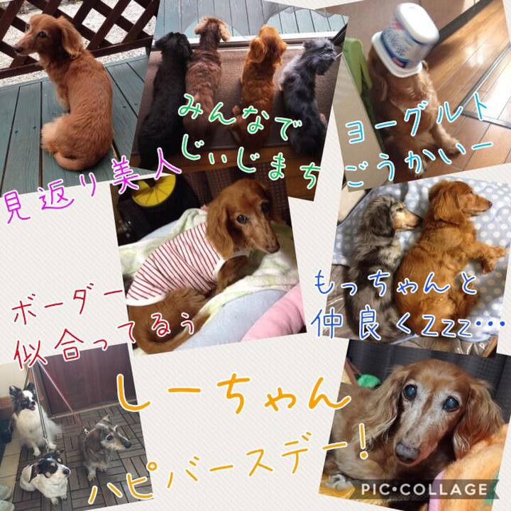 3c022119 f5fa 471e 87dc 2ed0c8f17269
