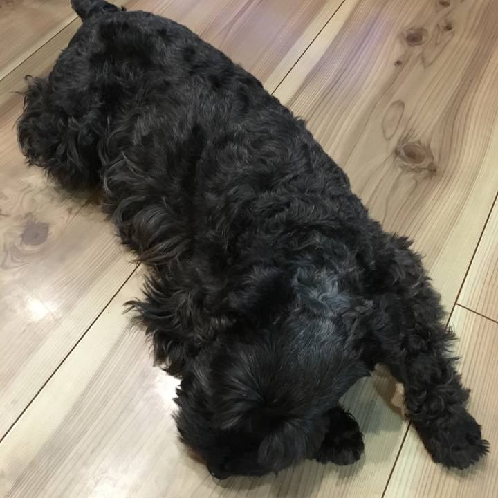 3c022aa7 a9b5 48a6 a07d 4c0d59202842