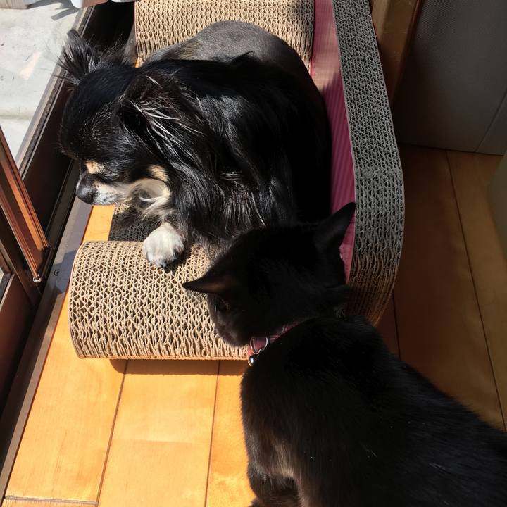 3c0281d7 f733 4116 8af1 7d2a6cda312e