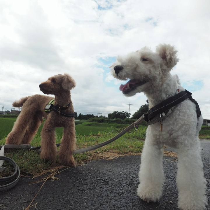 3c02ffca c7bc 406f a8ad 1012b05d9ae6