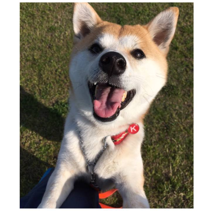 3c039f7c c779 47d9 b0d4 16e63ff11e83