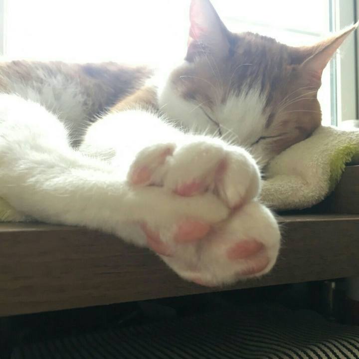 3c03bbdb c501 427d 9be7 114a8ec9e302