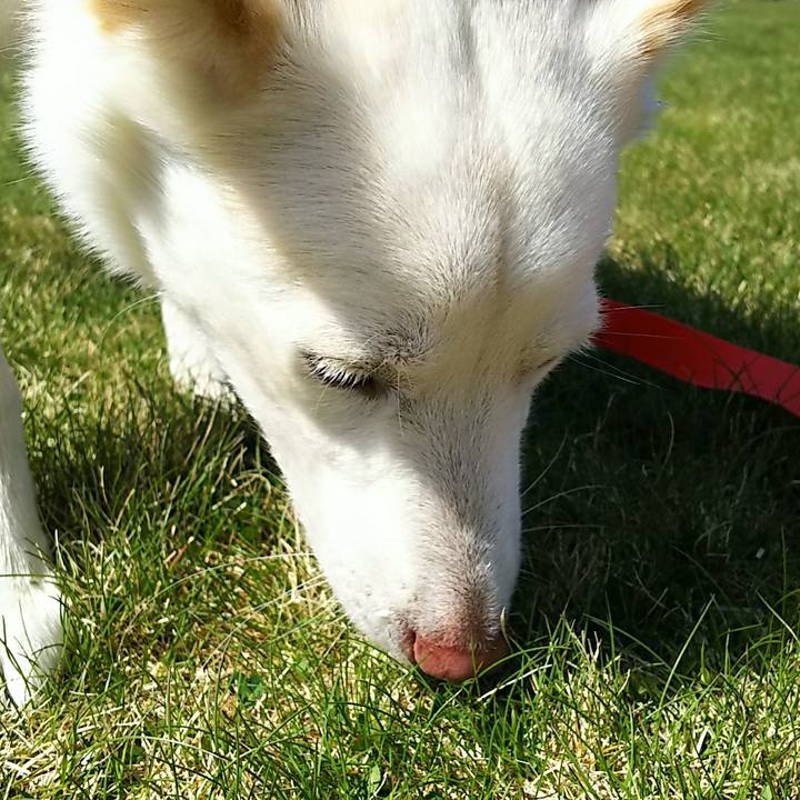 3c045071 ccad 4eb3 8c44 3d60becffe2e