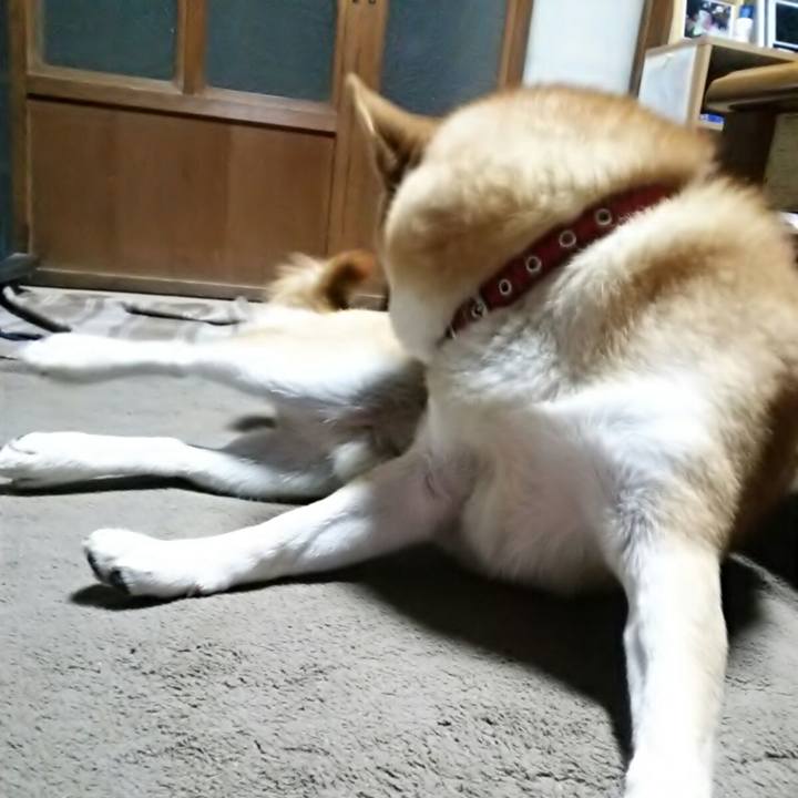 3c0510aa 9665 48f8 b559 a921968078d6