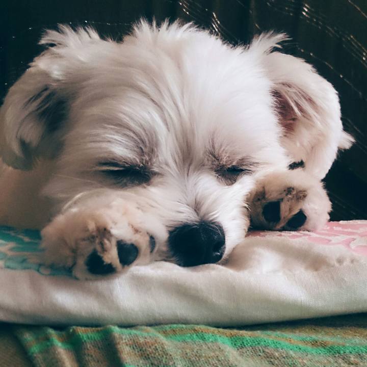 3c05a838 ad61 4bfb 8317 fa553ec9cf16