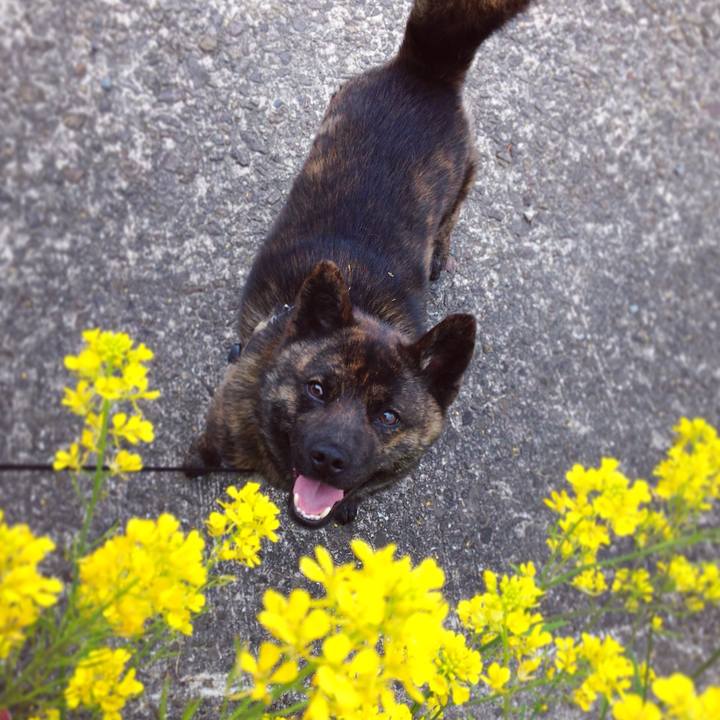 3c06e59a e897 4b94 a204 2cbe9b58cbd4