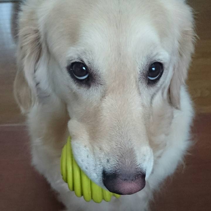 3c071954 3688 4200 b9f0 9c6319ec1d47