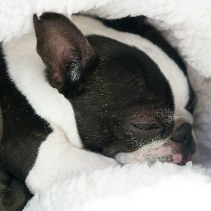 3c081ff0 2b59 4fd9 9464 babff86bd2a1