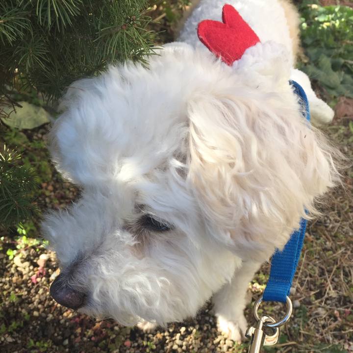 3c08c35b 58b7 4766 b8cd a8d35dde0b19