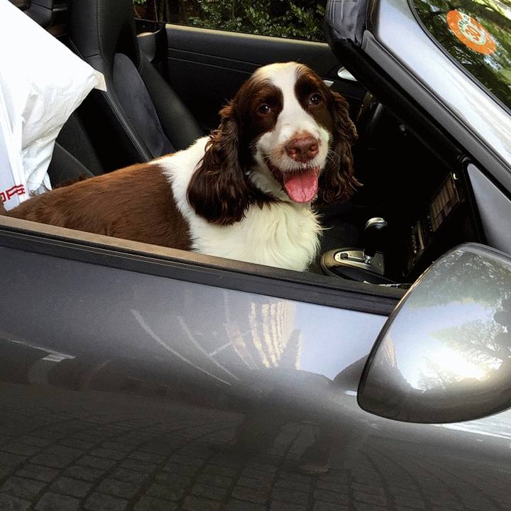 3c08d267 390d 4d95 a5bc 2a9c55534783