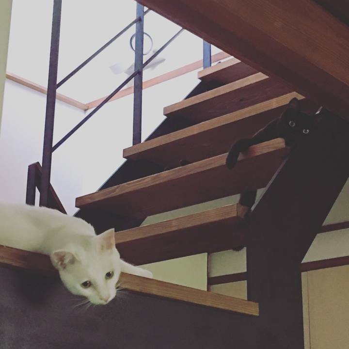 3c08f842 55ef 4be7 8d5e 1a67e9738959