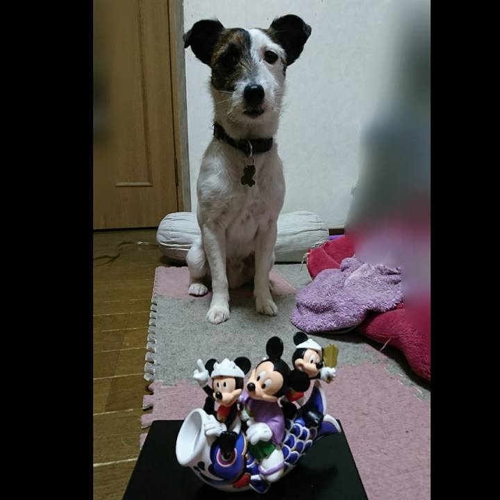 3c094d4d 3113 42bd a394 11e646865fff