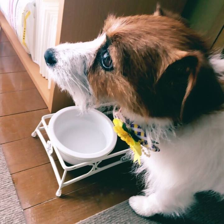 3c09604a 2776 4cf1 809c ecb0d7b2bd9b