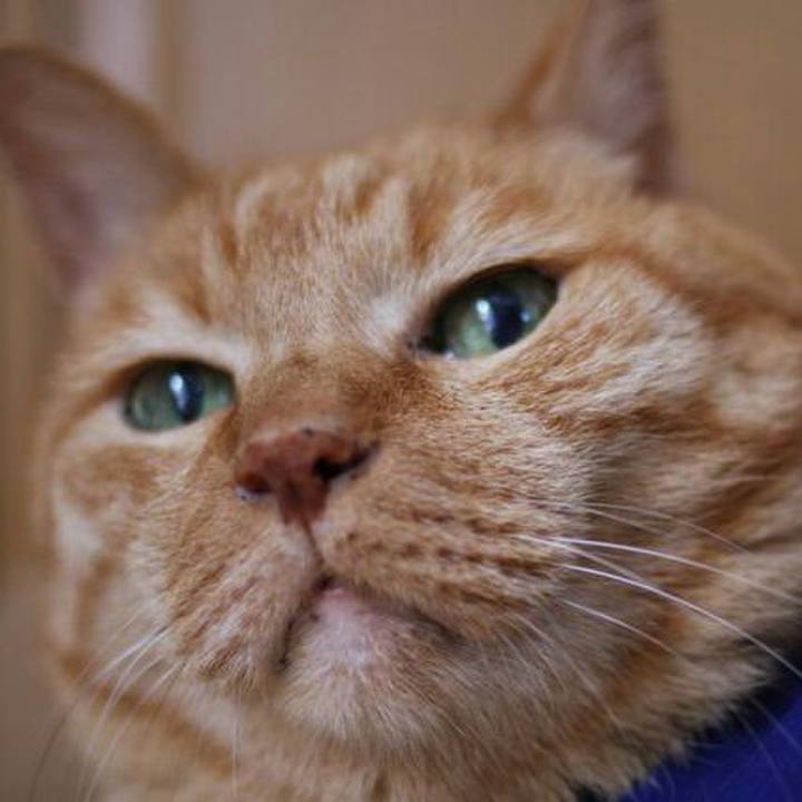 3c09c1be 6a3c 4956 b84f 307408c3f093