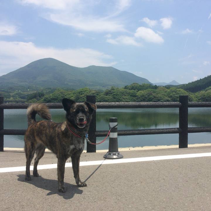 3c0a989d d8f6 4a57 874e 3835f1a50d0d