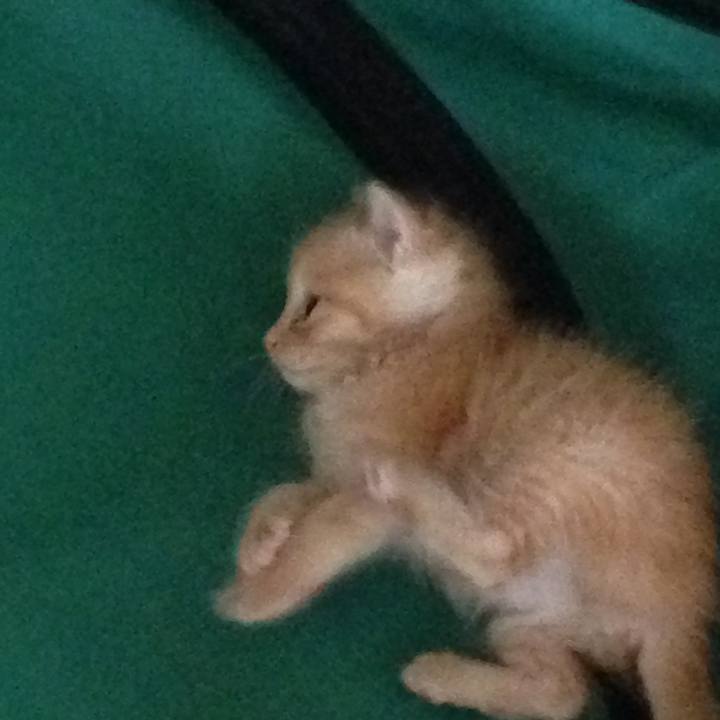 3c0b7d23 2a44 4589 b787 e8387683ddbc