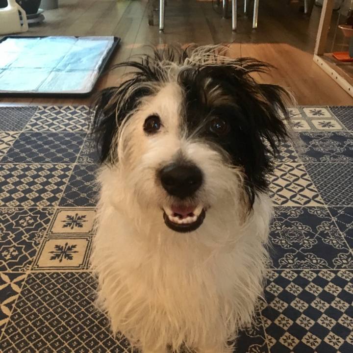 3c0b8725 f7b3 479a 8359 086c4533f048