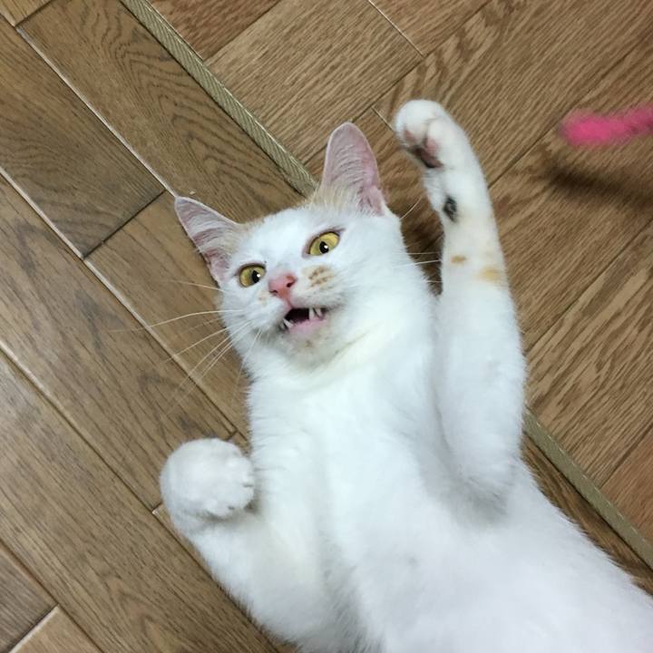 3c0c0d18 7df8 4707 be28 fbd75937a36d