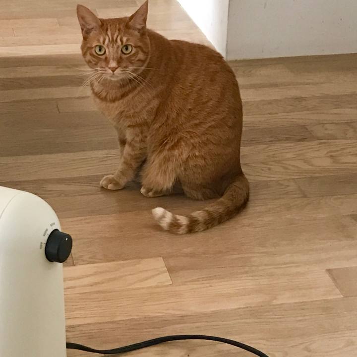 3c0c2942 a343 4c4d 86c4 724fcd42f9da