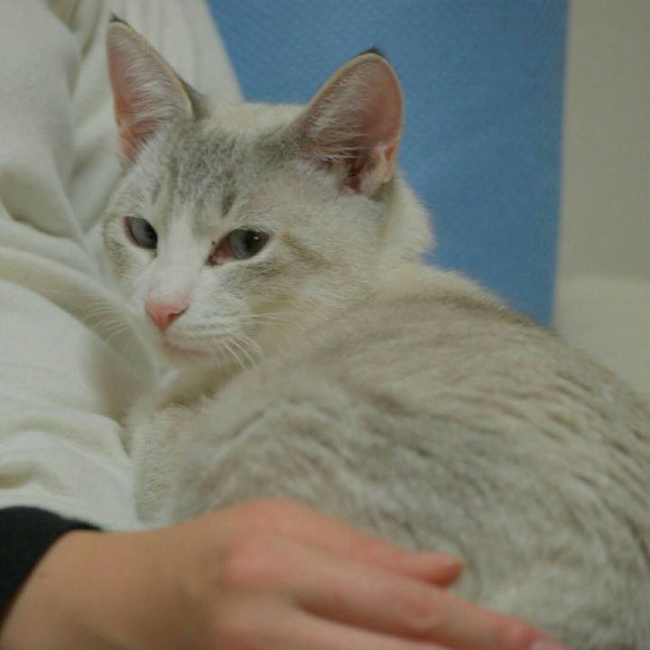 3c0c3919 5331 46b2 b693 e58df65812af