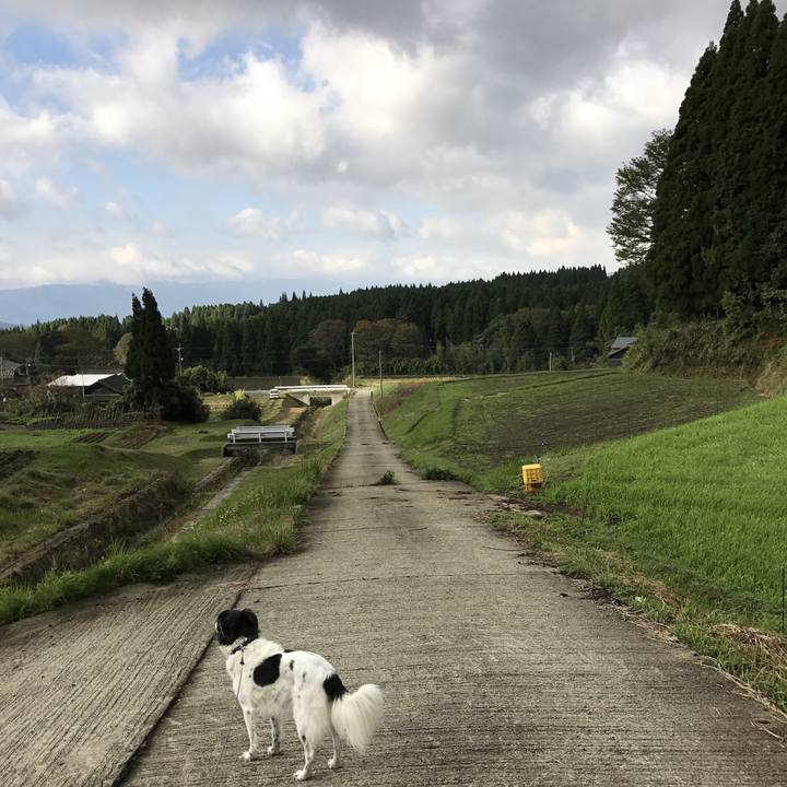 3c0c6813 b4f8 412a acba 95de8daf29e0