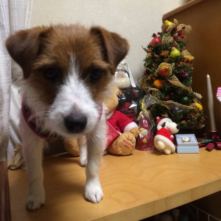 3c0ce75c e584 4311 992a 17201f30ee6e