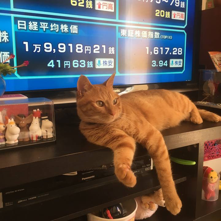 3c0df03f 21d1 4495 8ecd e73b8cb1b89f