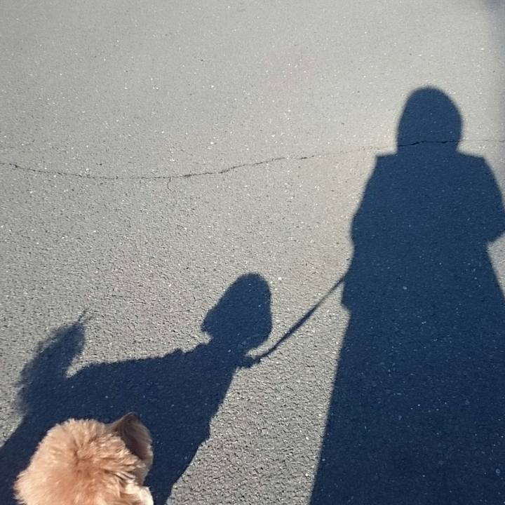 3c0df8e5 9218 4549 b4e1 ffd251766d8f