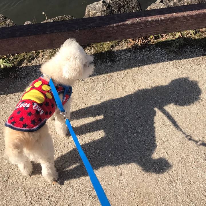 3c0e38b3 e873 429a 9c68 9187e83120f7