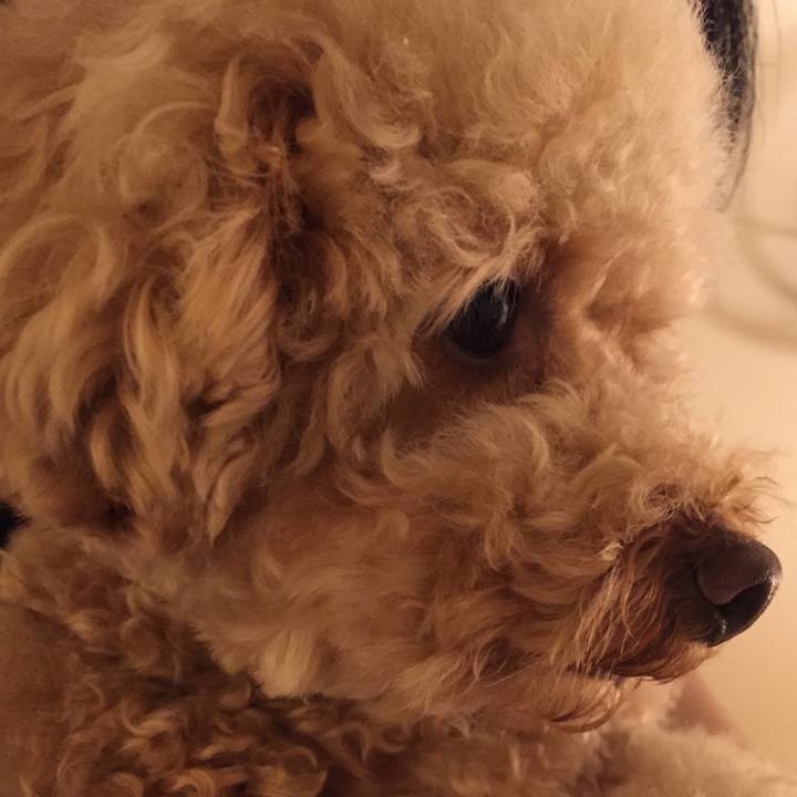 3c0e76b9 2091 4e49 ac7e 900e71c571b8