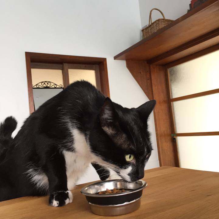 3c0ec48c 134b 401f b949 bfc761def012