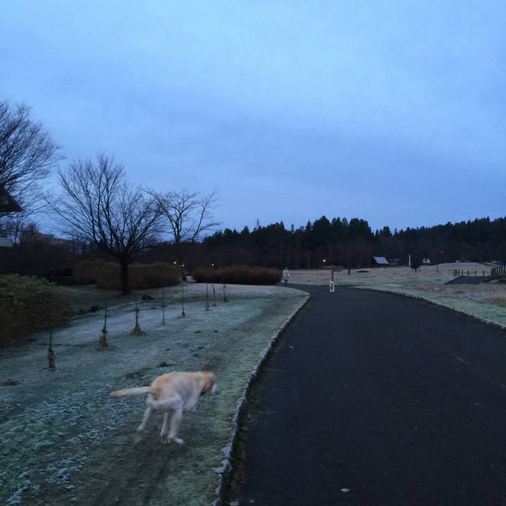 3c0ee984 e4e3 4d7d a2b4 2eb1e6e3da20