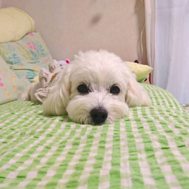 3c1026ad 00e9 42e9 ad11 ef84dbe09d75