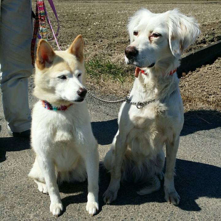 3c11c622 edeb 4c7a afb1 5c0930cb4201