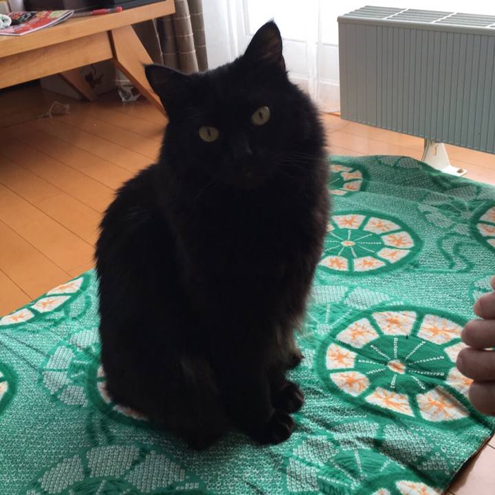 3c11f885 00af 49c2 9362 40a7e40abdf9