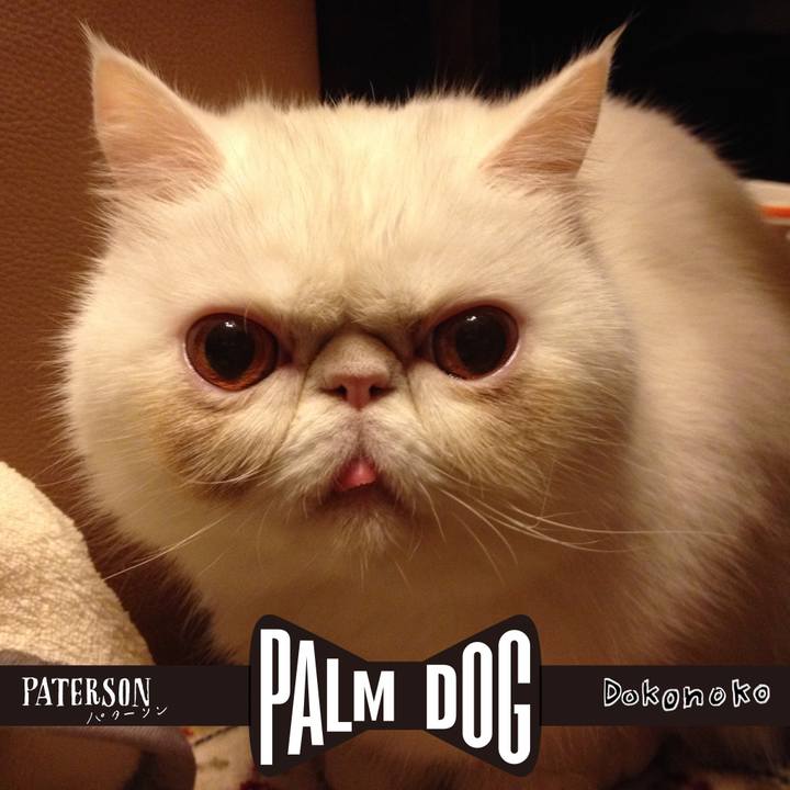 3c11fad0 b25c 4599 bf9a cba4a38140f4