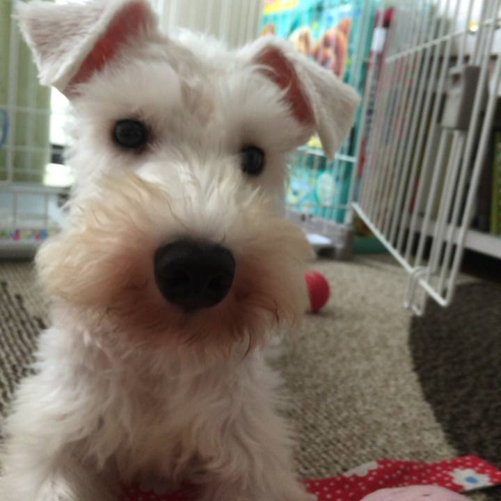 3c12005e 45fe 4776 b270 19140507afc0